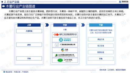 2025-2031年中國木薯行業(yè)發(fā)展現(xiàn)狀及發(fā)展趨勢預測